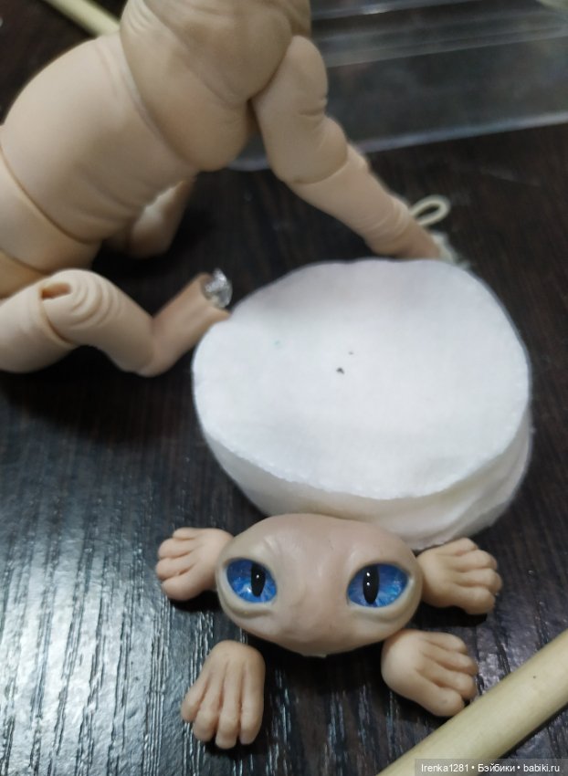 Первый шарнирный кот сфинкс (фото 4)