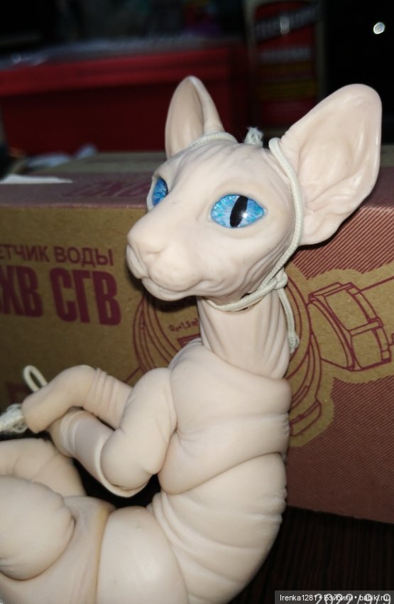 Первый шарнирный кот сфинкс (фото 8)