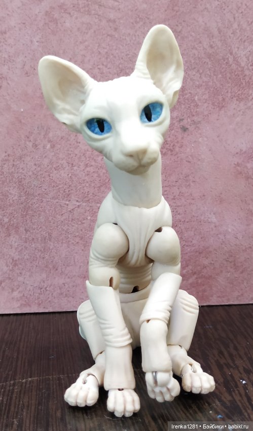 Первый шарнирный кот сфинкс