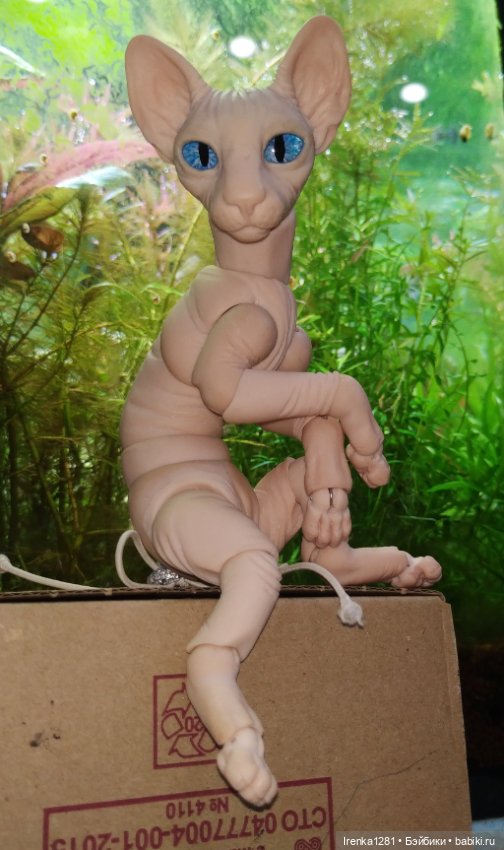 Первый шарнирный кот сфинкс