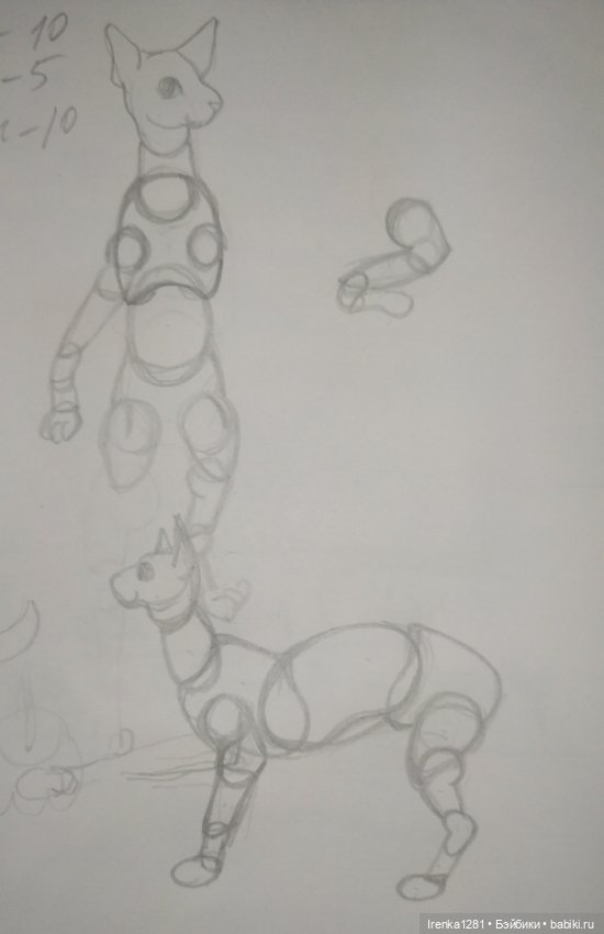 Первый шарнирный кот сфинкс (фото 3)