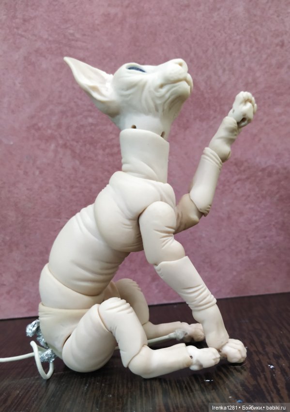 Первый шарнирный кот сфинкс