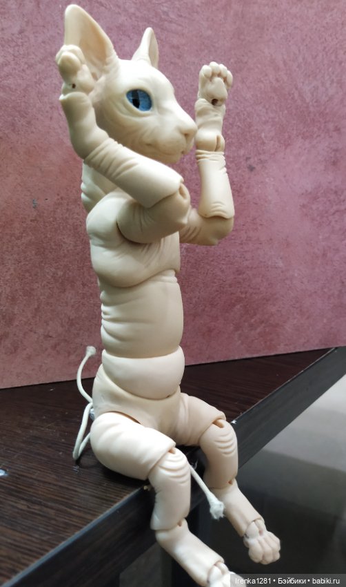 Первый шарнирный кот сфинкс (фото 10)