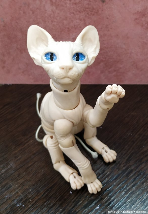 Первый шарнирный кот сфинкс