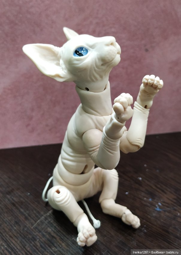 Первый шарнирный кот сфинкс