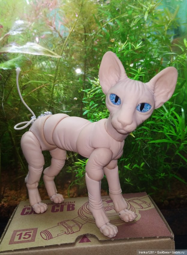 Первый шарнирный кот сфинкс