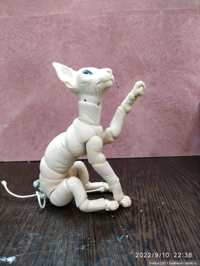 Первый шарнирный кот сфинкс