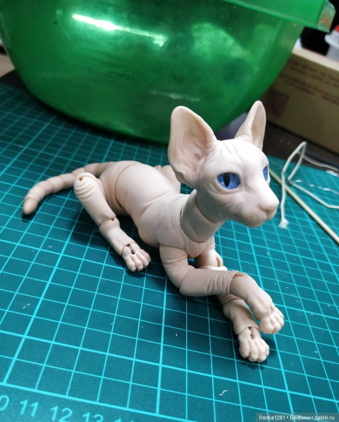 Первый шарнирный кот сфинкс