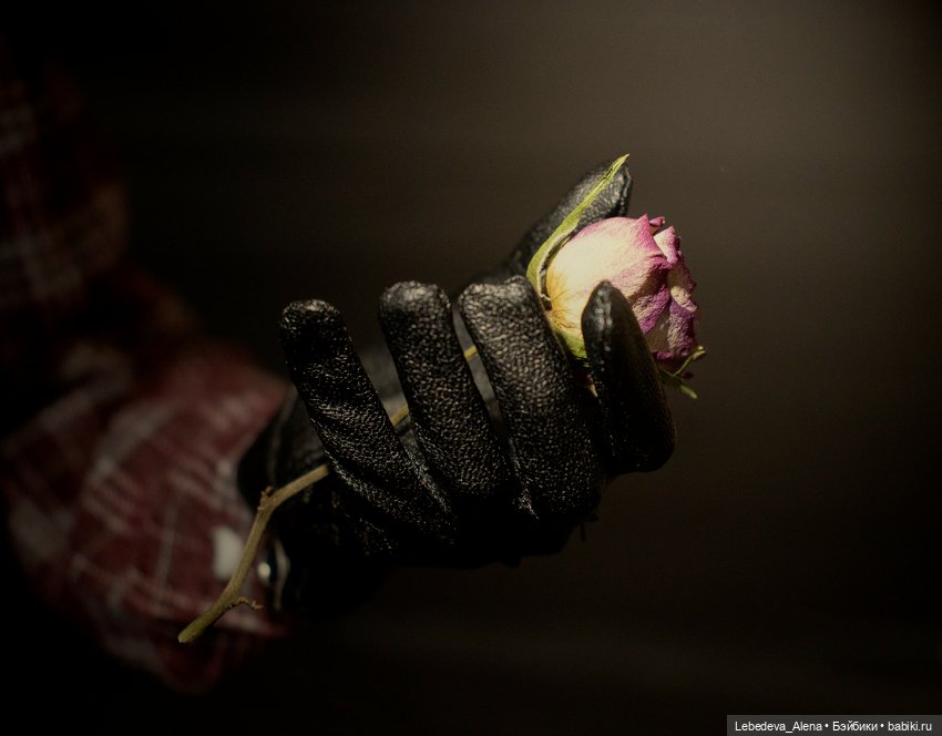 А вы любите розы — Куклы 5th Motif: корейские BJD (БЖД)