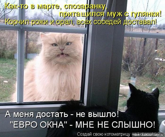 Понедельник день тяжелый — В мире животных: смешные фото питомцев и зверей