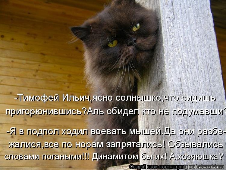 Понедельник день тяжелый — В мире животных: смешные фото питомцев и зверей