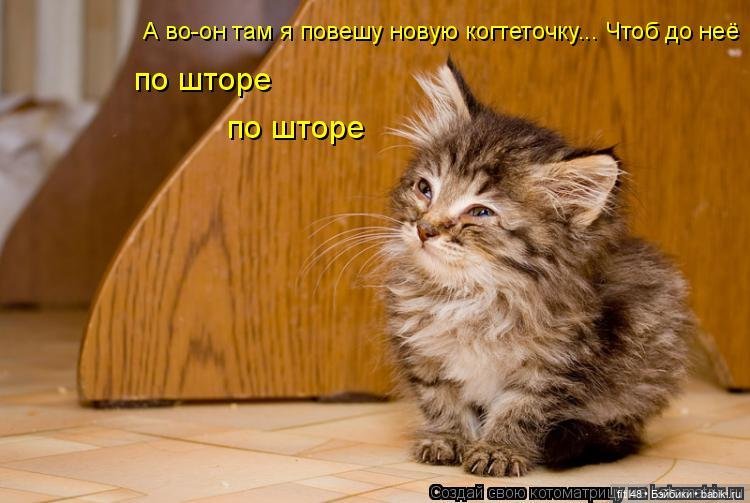 Понедельник день тяжелый — В мире животных: смешные фото питомцев и зверей