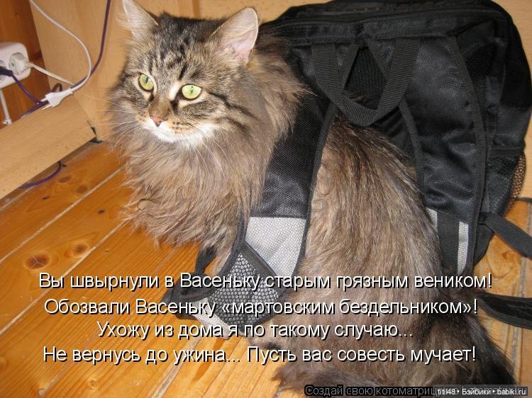 Понедельник день тяжелый — В мире животных: смешные фото питомцев и зверей