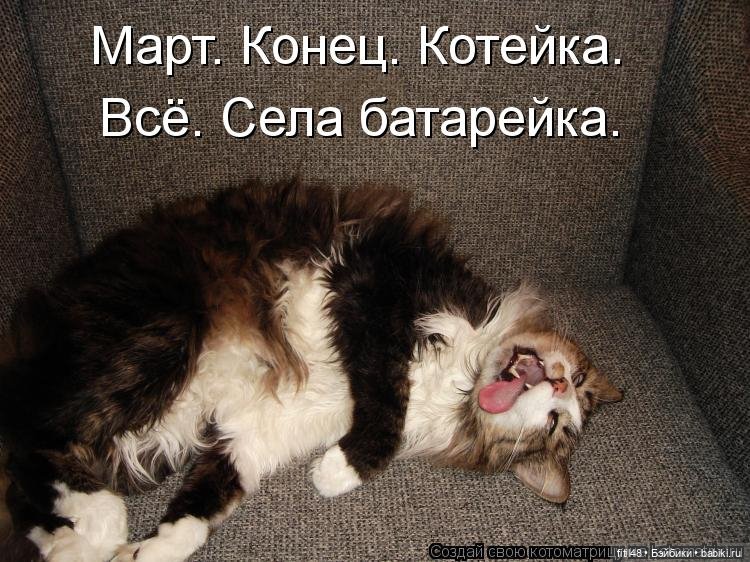 Понедельник день тяжелый — В мире животных: смешные фото питомцев и зверей