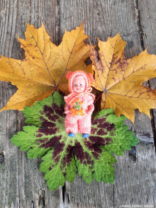 Осенняя капелька🍁🍂🐞💧🌤 — Винтажные куклы ГДР (Немки): Бигги (фото 7)
