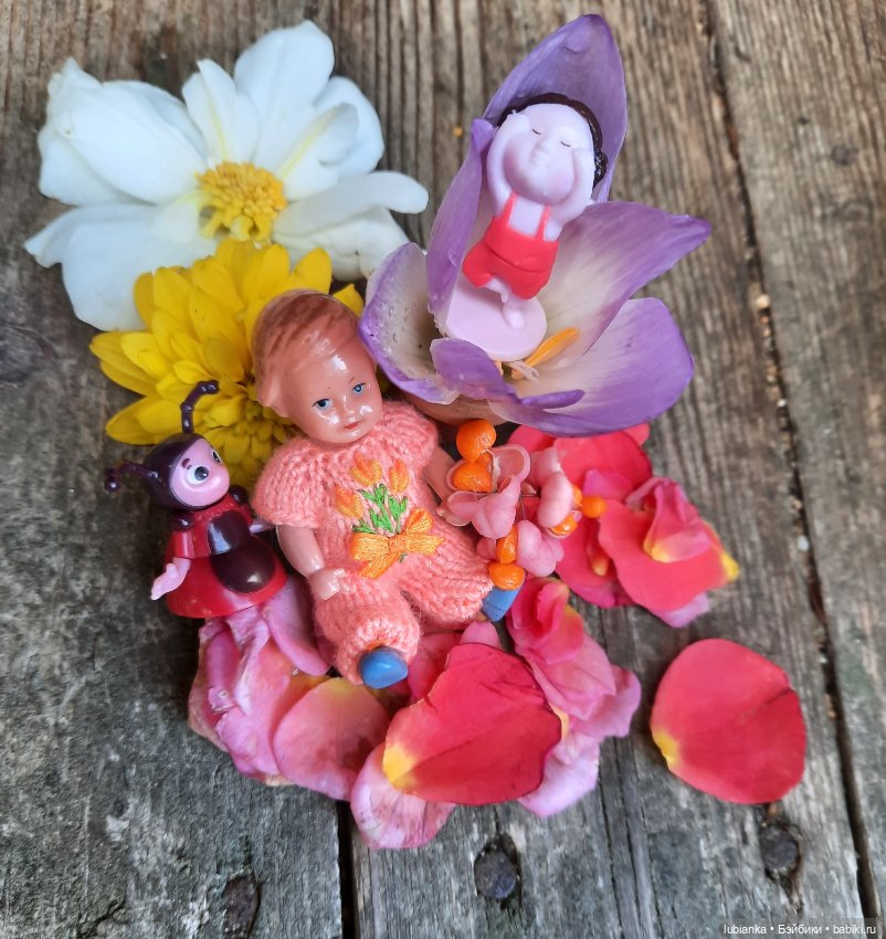 Осенняя капелька🍁🍂🐞💧🌤 — Винтажные куклы ГДР (Немки): Бигги