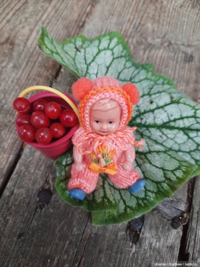 Осенняя капелька🍁🍂🐞💧🌤 — Винтажные куклы ГДР (Немки): Бигги