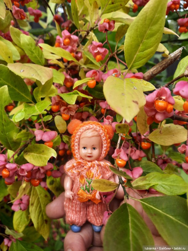 Осенняя капелька🍁🍂🐞💧🌤 — Винтажные куклы ГДР (Немки): Бигги