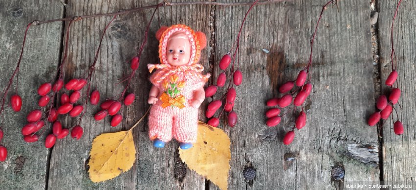 Осенняя капелька🍁🍂🐞💧🌤 — Винтажные куклы ГДР (Немки): Бигги (фото 4)