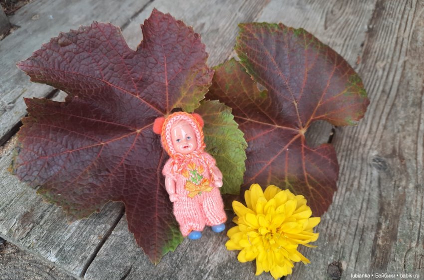 Осенняя капелька🍁🍂🐞💧🌤 — Винтажные куклы ГДР (Немки): Бигги