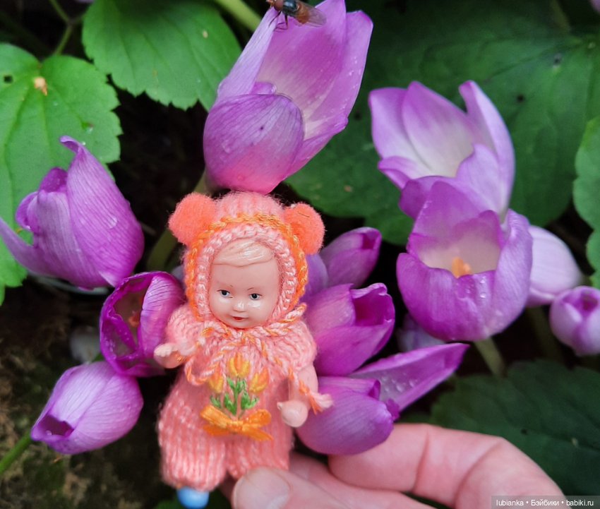 Осенняя капелька🍁🍂🐞💧🌤 — Винтажные куклы ГДР (Немки): Бигги