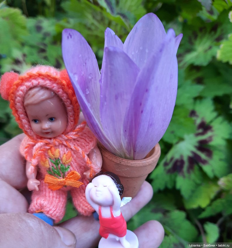 Осенняя капелька🍁🍂🐞💧🌤 — Винтажные куклы ГДР (Немки): Бигги