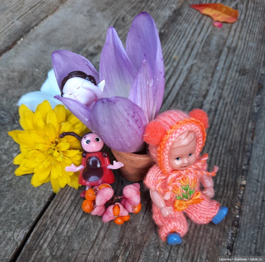 Осенняя капелька🍁🍂🐞💧🌤 — Винтажные куклы ГДР (Немки): Бигги