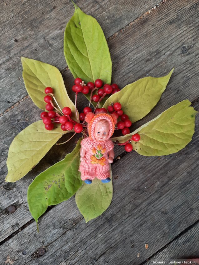 Осенняя капелька🍁🍂🐞💧🌤 — Винтажные куклы ГДР (Немки): Бигги