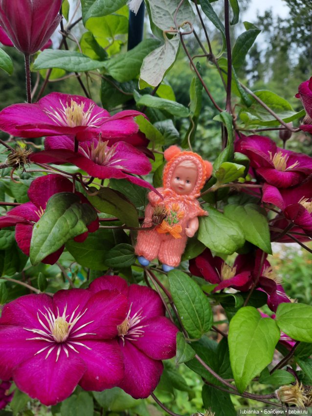 Осенняя капелька🍁🍂🐞💧🌤 — Винтажные куклы ГДР (Немки): Бигги