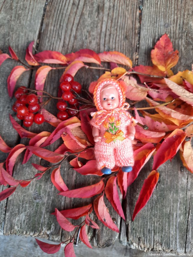 Осенняя капелька🍁🍂🐞💧🌤 — Винтажные куклы ГДР (Немки): Бигги (фото 3)