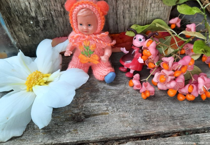 Осенняя капелька🍁🍂🐞💧🌤 — Винтажные куклы ГДР (Немки): Бигги