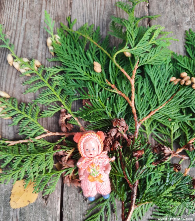 Осенняя капелька🍁🍂🐞💧🌤 — Винтажные куклы ГДР (Немки): Бигги (фото 5)