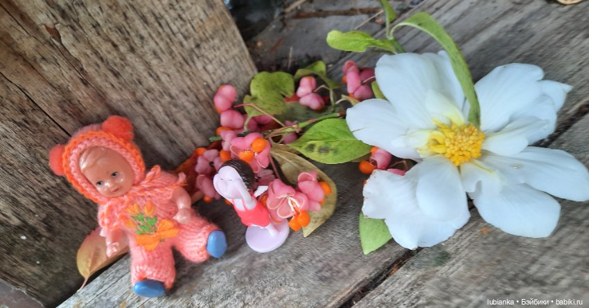 Осенняя капелька🍁🍂🐞💧🌤 — Винтажные куклы ГДР (Немки): Бигги