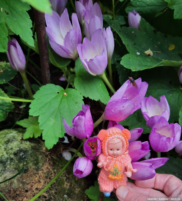 Осенняя капелька🍁🍂🐞💧🌤 — Винтажные куклы ГДР (Немки): Бигги