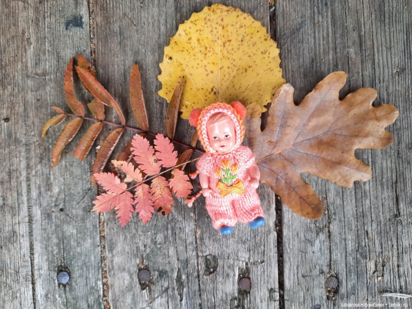 Осенняя капелька🍁🍂🐞💧🌤 — Винтажные куклы ГДР (Немки): Бигги