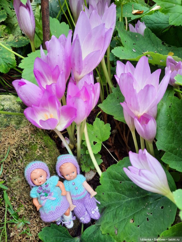 Королевская двойня Next — Коллекции винтажных кукол и игрушек: СССР