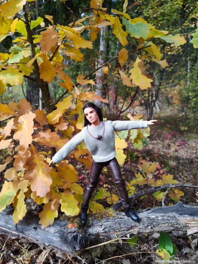 Кэм looks и осень — Куклы Barbie (Барби): Looks (фото 4)