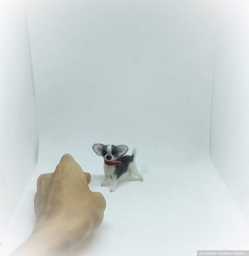 Мини чихуа — Валяные игрушки из шерсти: сухое валяние