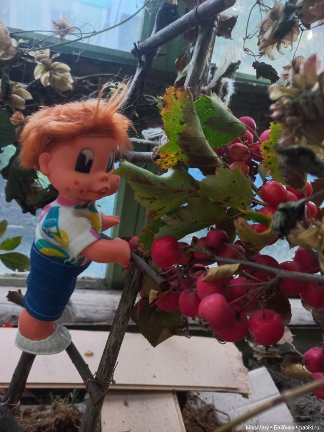 Подготовка к "Празднику урожая" (фото 7)