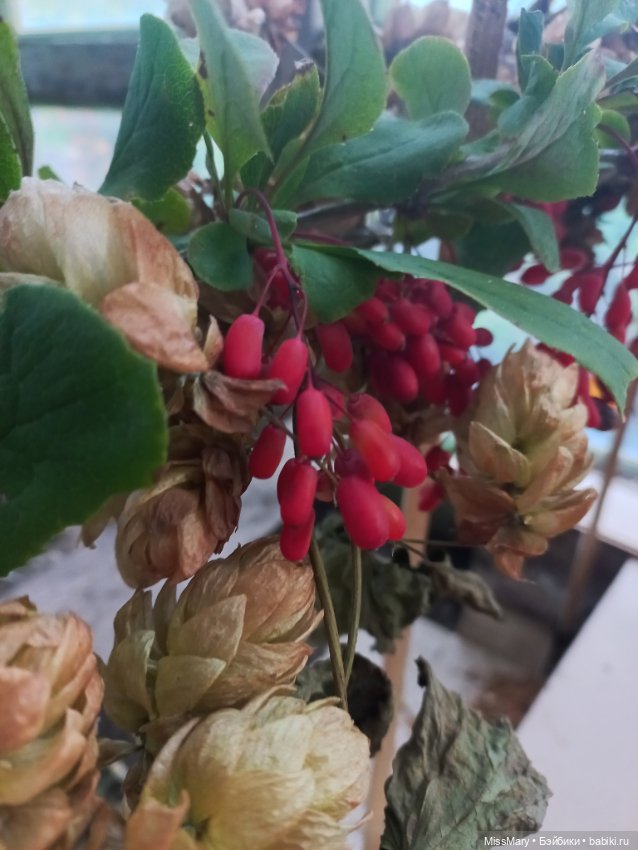 Подготовка к "Празднику урожая" (фото 3)