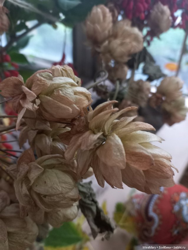 Подготовка к "Празднику урожая" (фото 9)