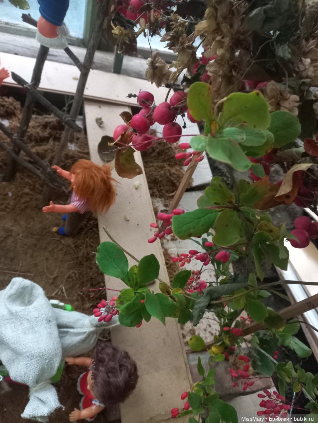 Подготовка к "Празднику урожая"