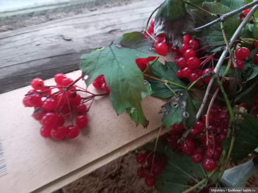 Подготовка к "Празднику урожая" (фото 5)