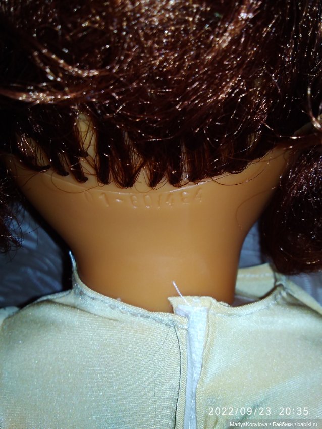 Подскажите пожалуйста мы гибрид или нет