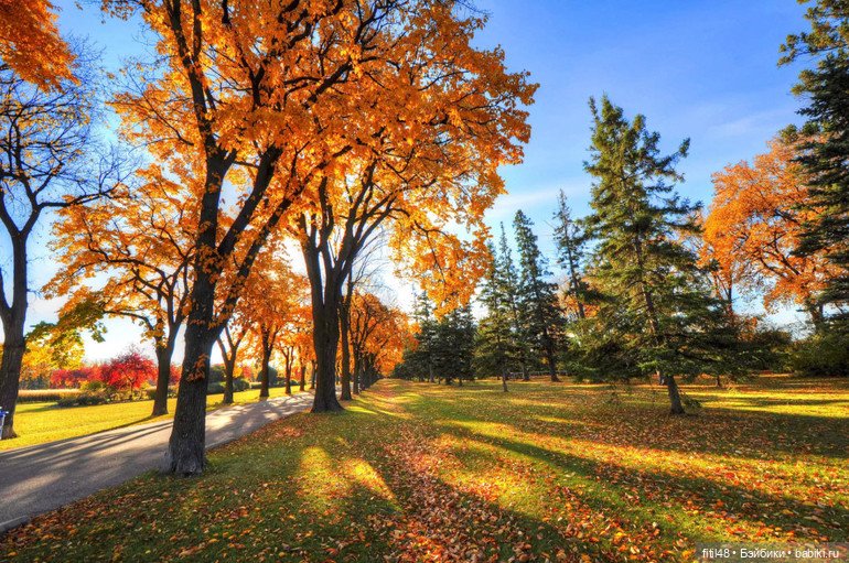 Сентябрь — Куклы Paola Reina (Паола Рейна): новинки