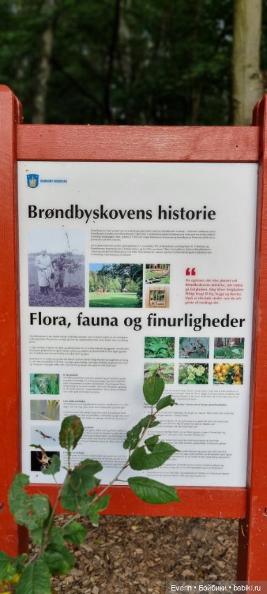 Пойдём погуляем — Куклы Sissel Skille (Сиссель Скилле): Gotz (фото 9)