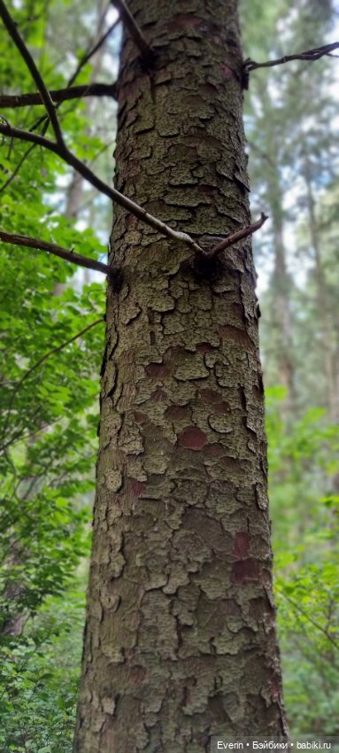 Пойдём погуляем — Куклы Sissel Skille (Сиссель Скилле): Gotz
