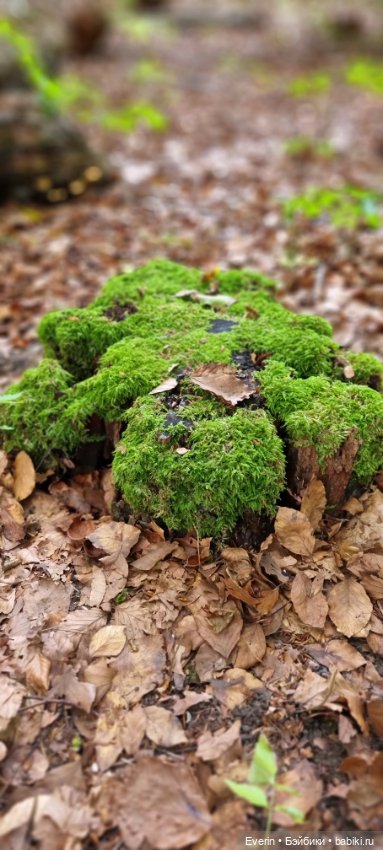 Пойдём погуляем — Куклы Sissel Skille (Сиссель Скилле): Gotz (фото 2)