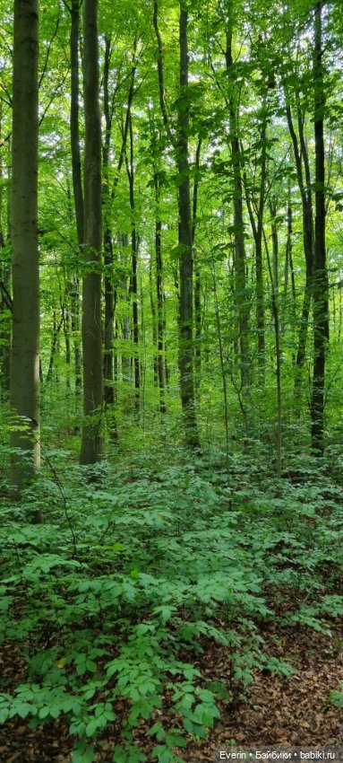 Пойдём погуляем — Куклы Sissel Skille (Сиссель Скилле): Gotz