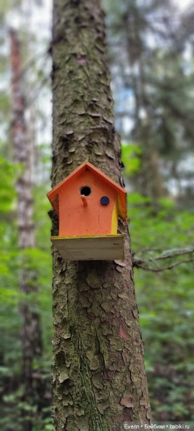 Пойдём погуляем — Куклы Sissel Skille (Сиссель Скилле): Gotz (фото 8)